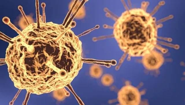 Corrèze : un nouveau foyer de contamination