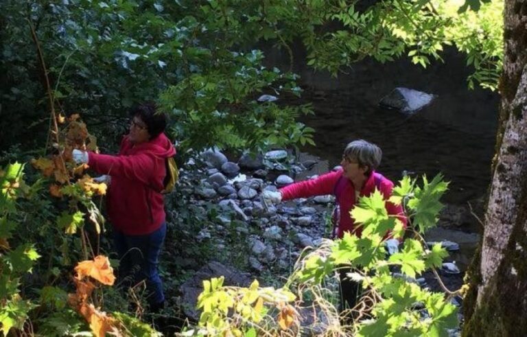 Aurillac – Une journée pour nettoyer les berges de la Jordanne